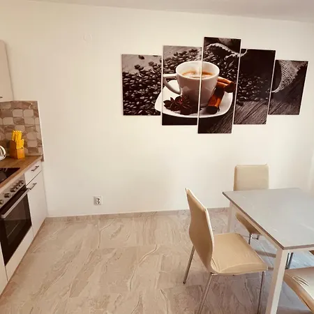 The Secret Orchid Apartment Rovinj
